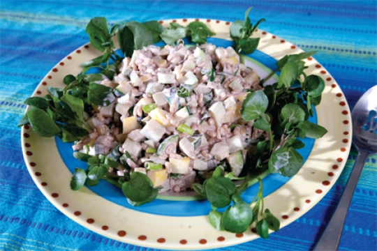 Summer Barley Salad for the Jewish Holidays
